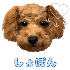 それいけくくちゃん！ ver3