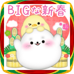 【アザラシ】BIG年末年始♥毎年使える10