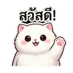 The Cutest Little Marshmallow Fluffy Cat