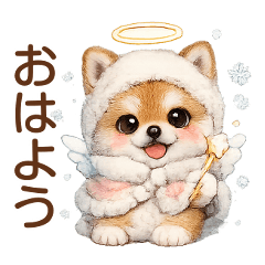 かわいい柴犬♡冬～春