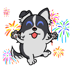 Border Collie - Rice Ball's Daily Life