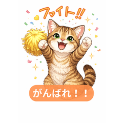 Cute Cat Reactions  Tiger Tabby