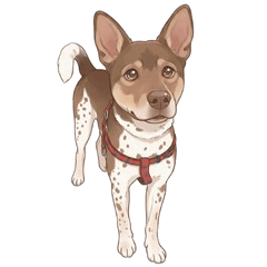 おてんば可愛いメイ