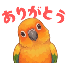 コガネメキシコインコ（１）