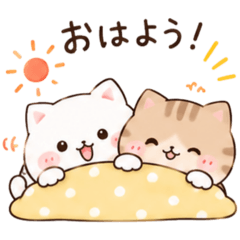 毎日使える♡もちもちゆるかわ猫