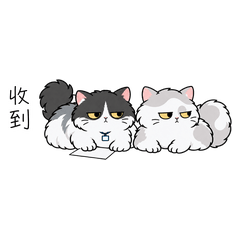 The Purr-sual Suspects: Who's On Duty?