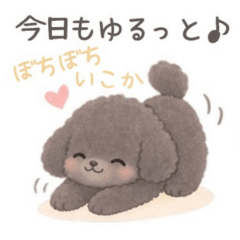 やさしいトイプードルの日常