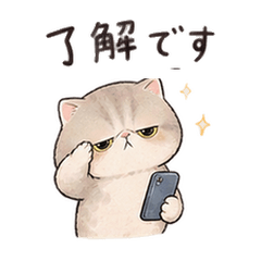何があってもマイペース　毎日　Rimuru♡