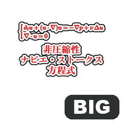 BIG! レッド偏微分方程式　名前入り