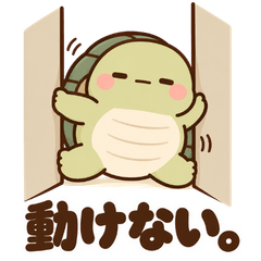 「陰」ぷくぷくカメさん/ふわもこ日和