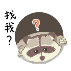 Raccon Sticker