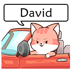 Name sticker of Chacha cat "David"