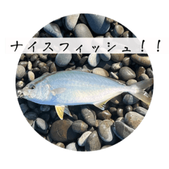 海の魚Ⅱ