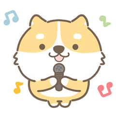 Shiba inu 38