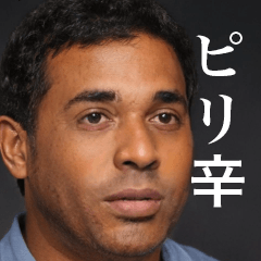 存在しないインド人　中辛