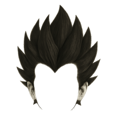 好きなキャラに被るカツラコレクション