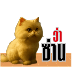 The mischievous Persian