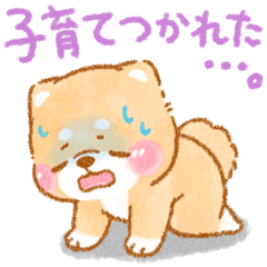 子育てに疲れた❤️いやしばいぬ❤️柴犬