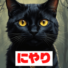 黒猫の気まぐれ日常