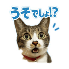 くるるんの簡単ことば