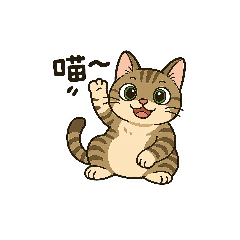 Cat Fengfeng&#39;s naughty daily life