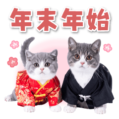 毎年使える♪リアルなにゃんこの年末年始