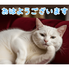 [おはようございます専用]おでぶ猫