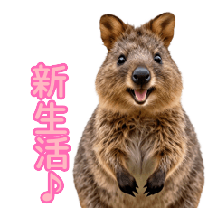 全力肯定♪ハッピークォッカの毎日