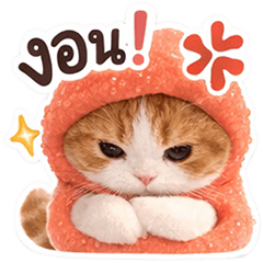 Mentaiko Cat: Cute & Chaotic