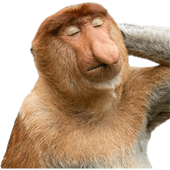 テングザル　実写