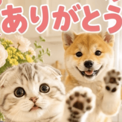 飛び出す♡わんにゃん