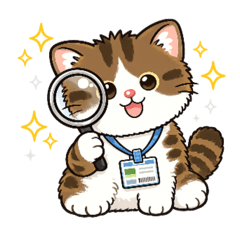 QA Cat Daily Work