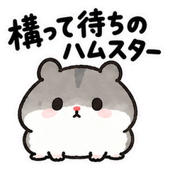 構って待ちのハムスター
