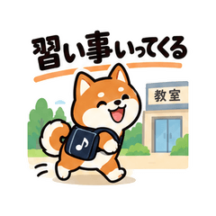 Shiba Lesson Pickup