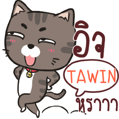 TAWIN charcoal meow e