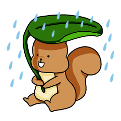 The squirrel daily life