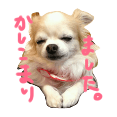 べるちゃんのあいさつ