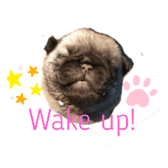 catty_20210720090053