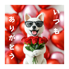 愛する人に感謝する犬❤