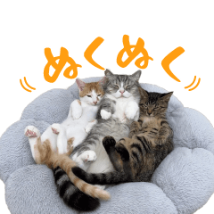 もちまるファミリー