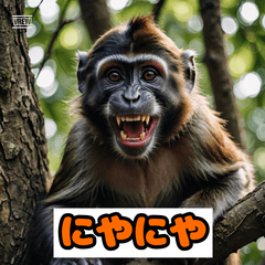 ゆるっと猿のきもち