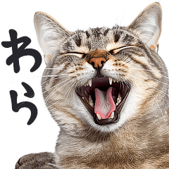 にゃんとも！敬語猫ミーム（やさしい日常）