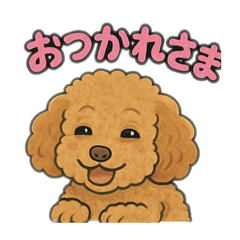 癒しワンコ、トイプードル　1