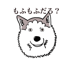 オオカミ犬ハスキー