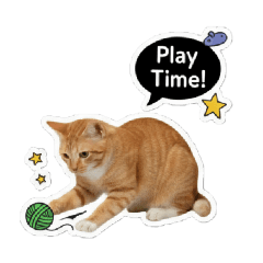 patpheing_20251012050228