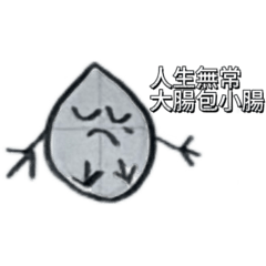 anita._.0310__20251102174812