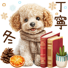 トイプードルの大人かわいい冬の丁寧語