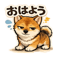 柴犬風太の日常