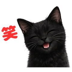 黒猫ツクヨミの言い換えスタンプ