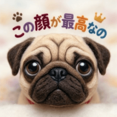 パグのモカ：フェルト風パグあるある